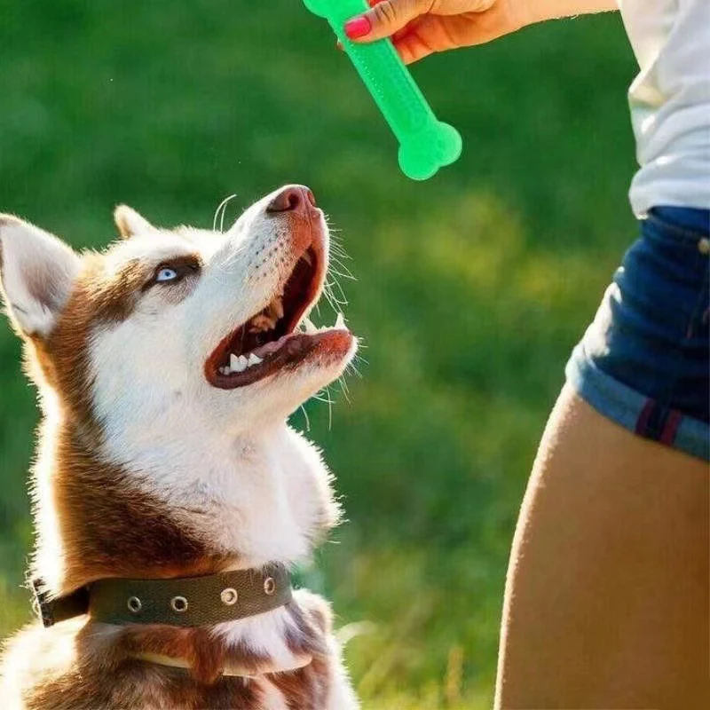 Training Clicker Dog - Mainan Kunyah Tulang Anjing Super Tangguh