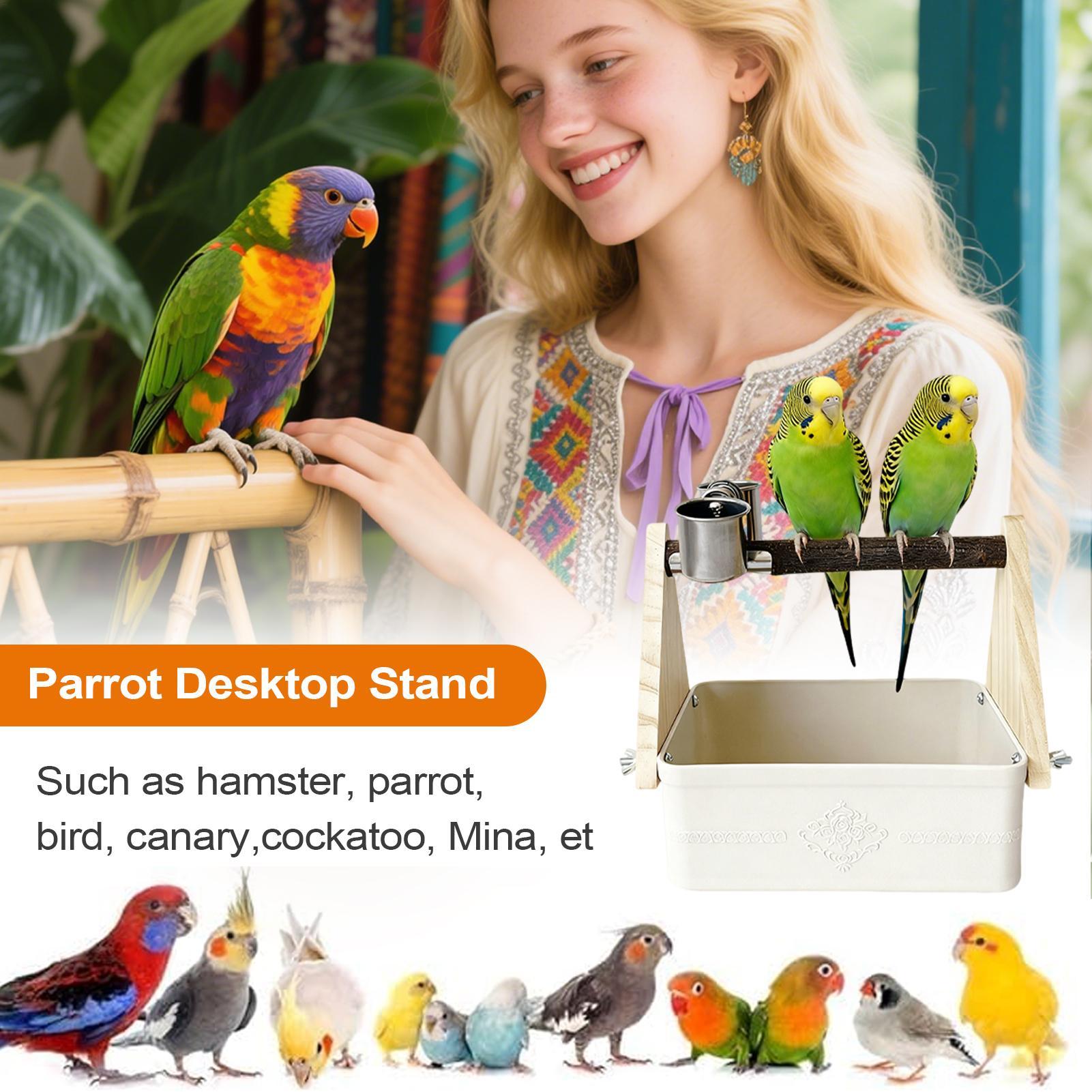 Pet Supplies Zoo - Tempat Duduk Burung di Meja, Perlengkapan