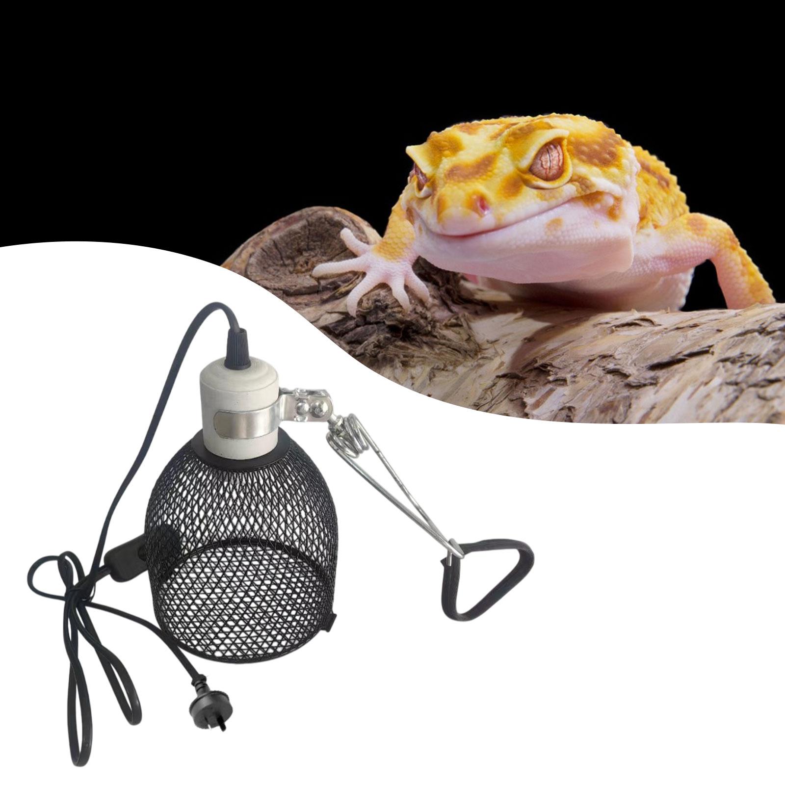Lampu Pemanas Reptil, Pelindun - Bird Cage Parrot ulasan dan harga