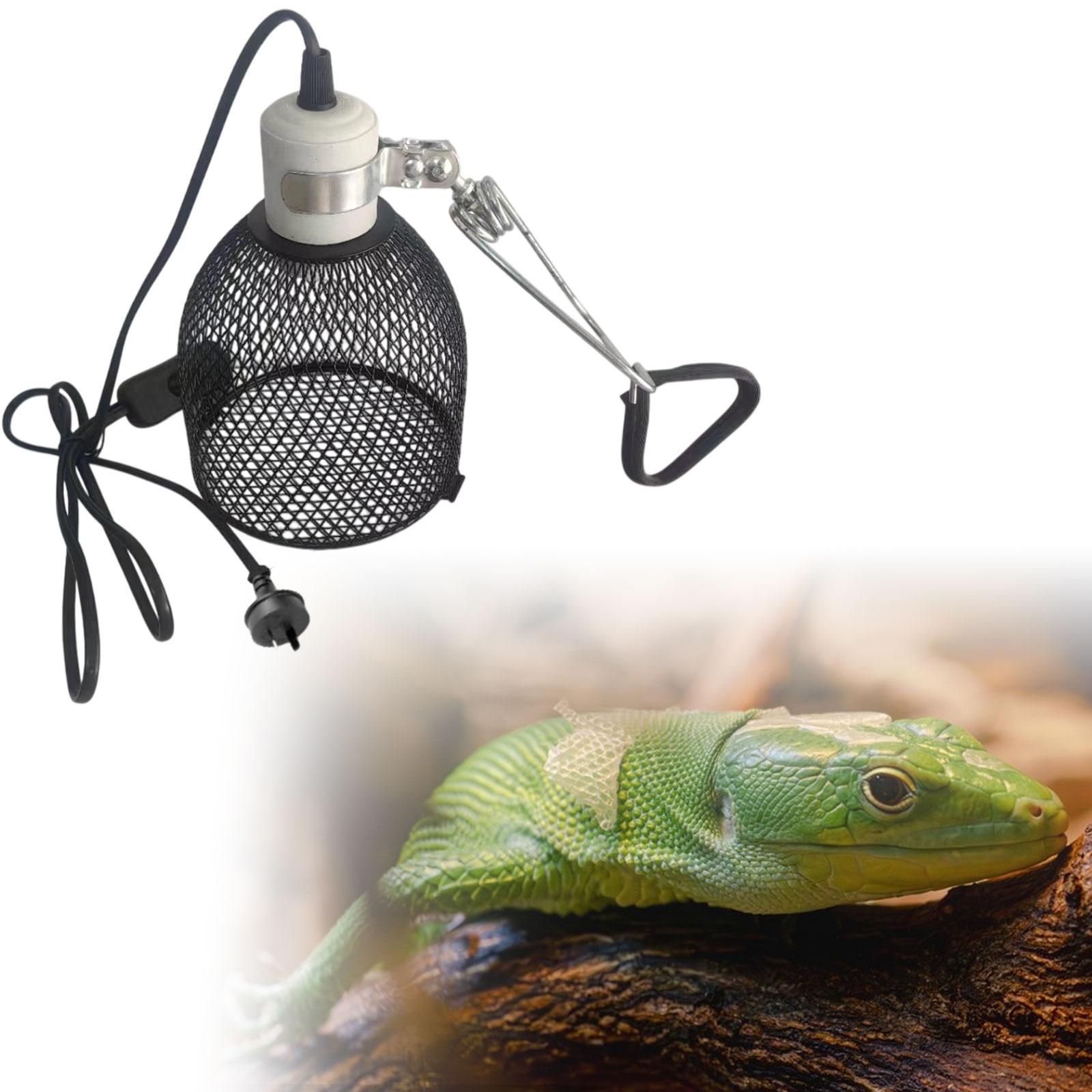Lampu Pemanas Reptil, Pelindun - Bird Cage Parrot ulasan dan harga