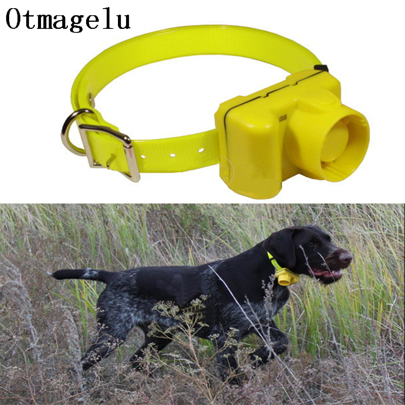 Pengocok anjing berburu profes - Training Clicker Dog ulasan dan harga