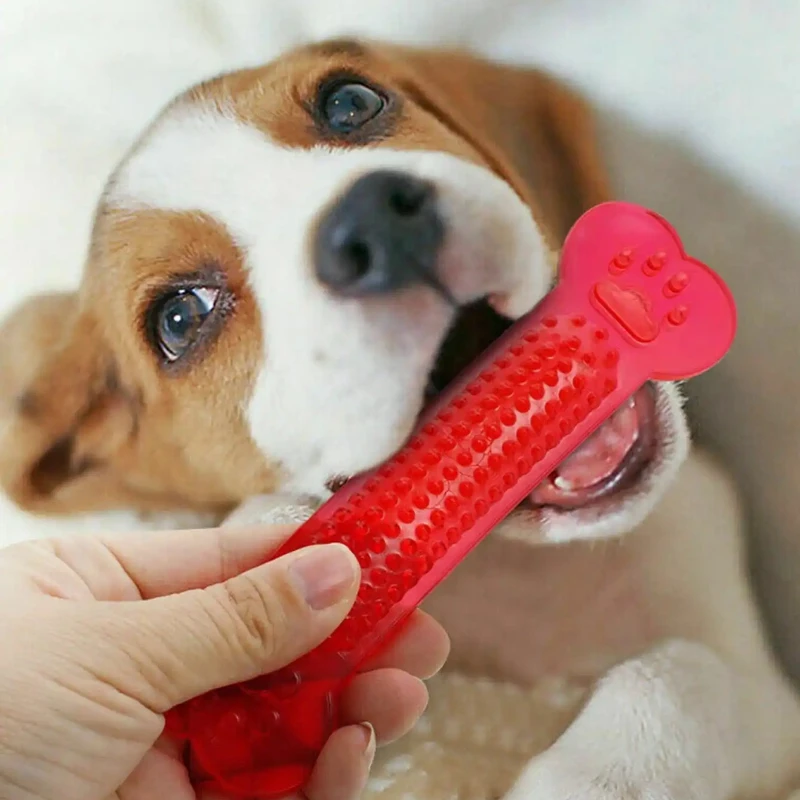 Mainan Kunyah Tulang Anjing Su - Training Clicker Dog ulasan dan harga