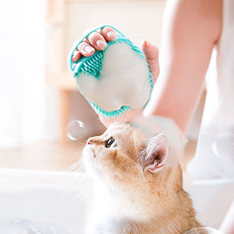 Sikat Mandi Hewan Peliharaan S - Pet Supplies Application ulasan dan harga