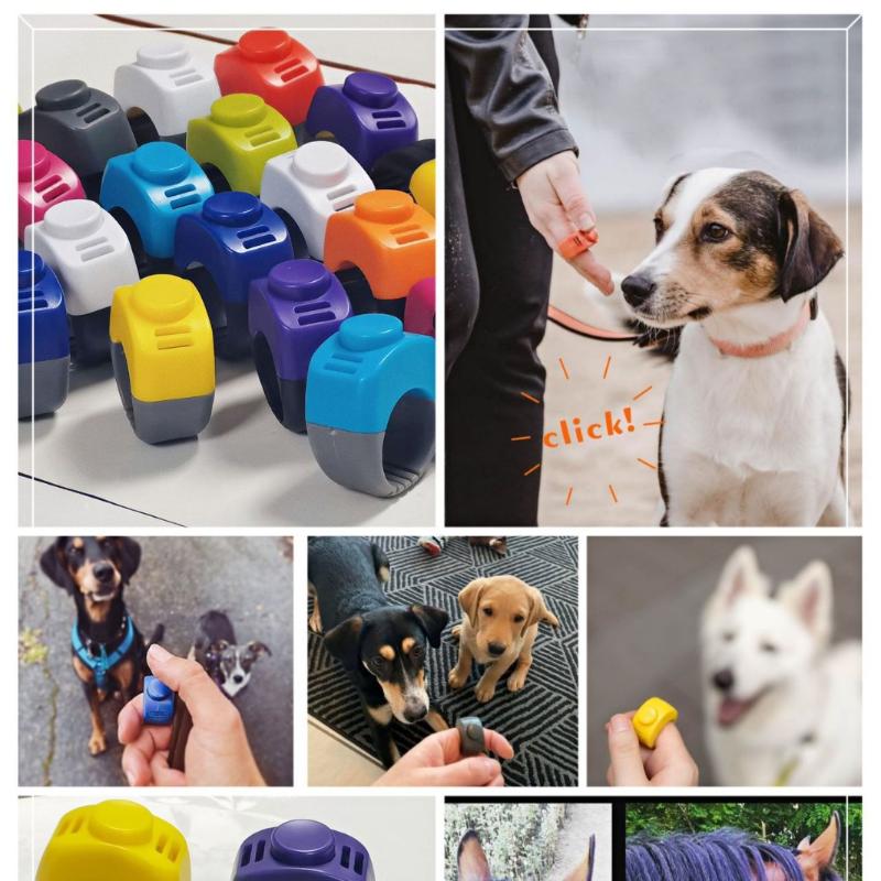 Alat Latih Klik Anjing Mini Ri - Training Clicker Dog ulasan dan harga