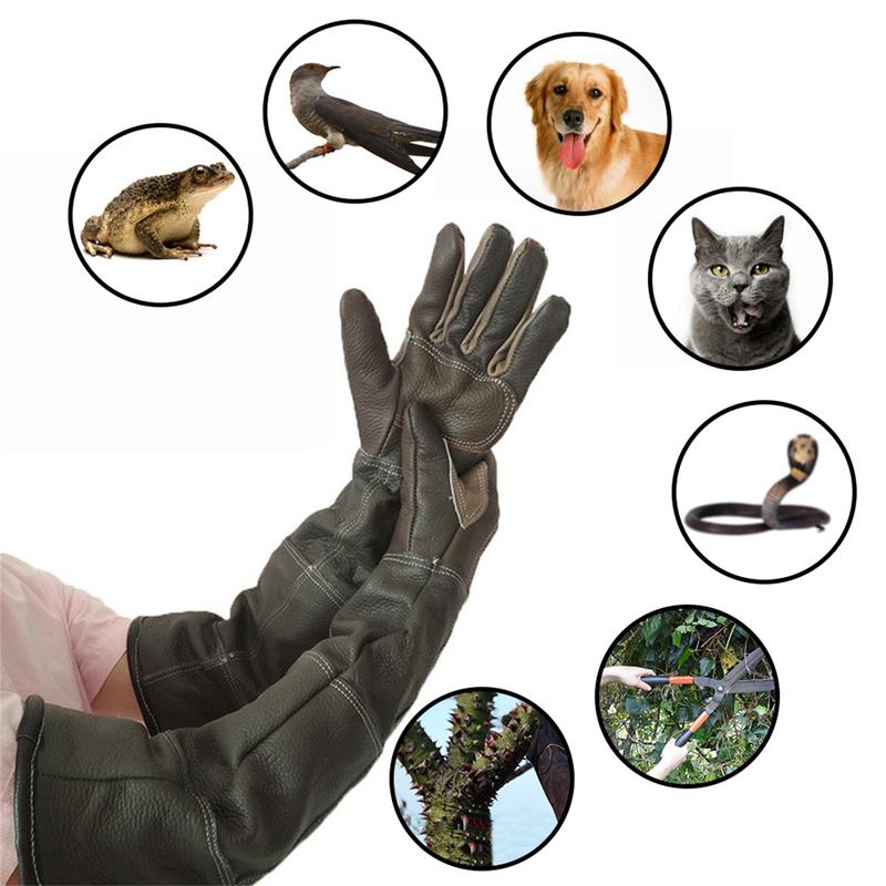 Sarung tangan hewan peliharaan - Pet Grooming Glove ulasan dan harga