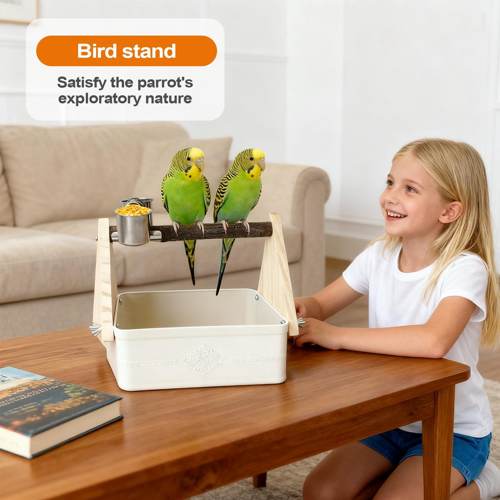 Tempat Duduk Burung di Meja, P - Pet Supplies Zoo ulasan dan harga
