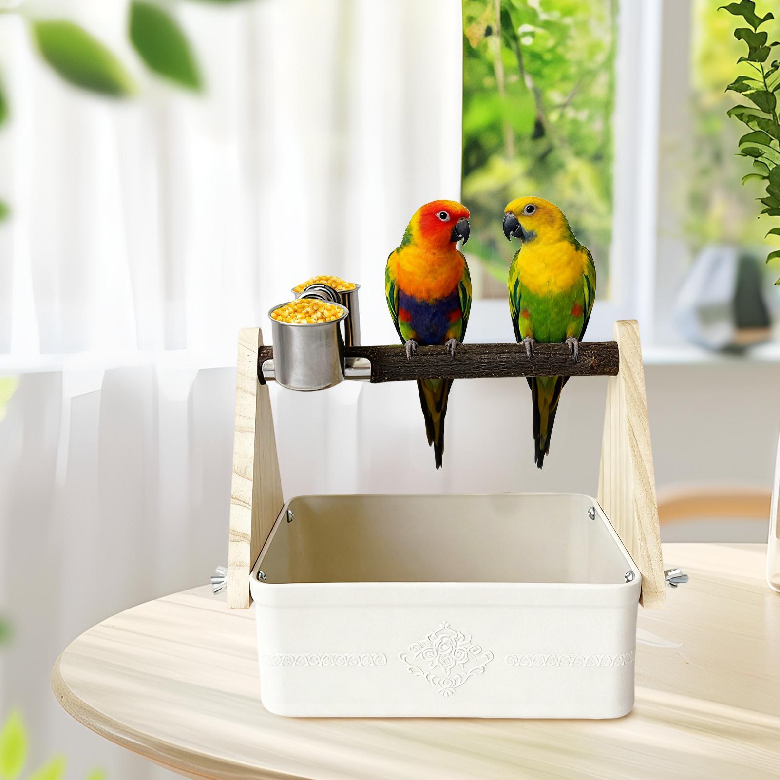 Tempat Duduk Burung di Meja, P - Pet Supplies Zoo ulasan dan harga