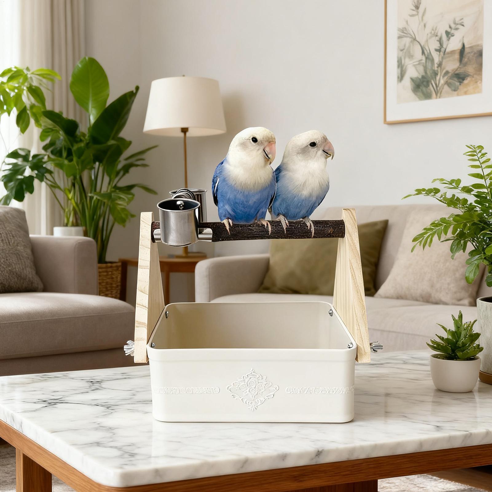 Tempat Duduk Burung di Meja, P - Pet Supplies Zoo ulasan dan harga