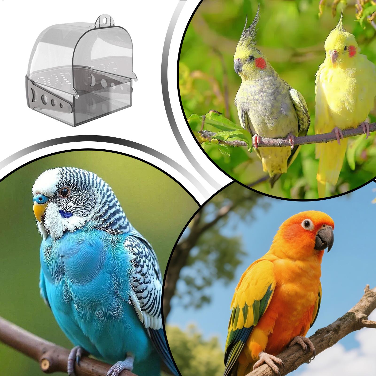 Bak Mandi Burung Untuk Kandang - Bird Cage Parrot ulasan dan harga